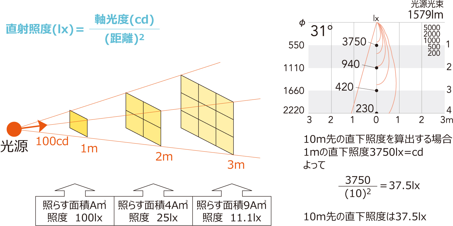 光を読む 光育（ヒカリイク）