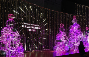 illumination2014_mylord